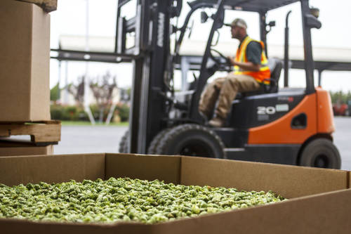 Hop Contracting